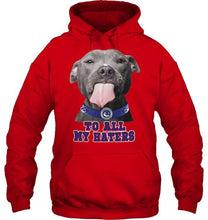 Load image into Gallery viewer, Vancouver Canucks to all my haters pitbull shirt