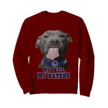 Load image into Gallery viewer, Vancouver Canucks to all my haters pitbull