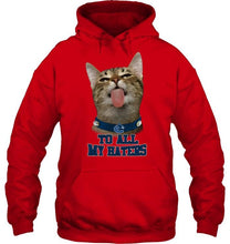 Load image into Gallery viewer, Vancouver Canucks cat to all my haters shirt