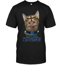 Load image into Gallery viewer, Vancouver Canucks cat to all my haters shirt